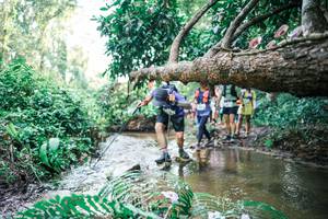 BIB: 
                            <button type="button" onclick="openModal(25476508)" class="btn btn-primary btn-sm float-right btn-popup" data-toggle="modal" data-target=".modal-high-quality">
                        <i class="fas fa-shopping-cart"></i> Add to Cart
                    </button>
                                            <button type="button" onclick="isThisMe(25476508, true)" class="btn btn-success btn-sm float-right btn-popup btn-isme hidden" data-toggle="tooltip" data-placement="bottom" title="นี่คือรูปของคุณใช่ไหม คลิกที่นี่เพื่อเอาเข้าอัลบั้ม">
                        <i class="fas fa-plus"></i> Add to album
                    </button>
                    <button type="button" onclick="isThisMe(25476508, false)" class="btn btn-warning btn-sm float-right btn-popup btn-isnotme hidden">
                        <i class="fas fa-ban"></i> Remove from album
                    </button>